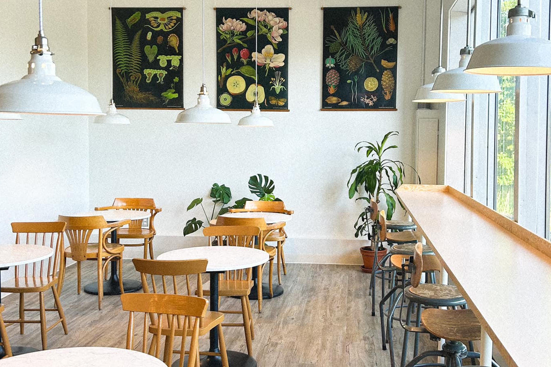 Ditchfield_Circuit-Court