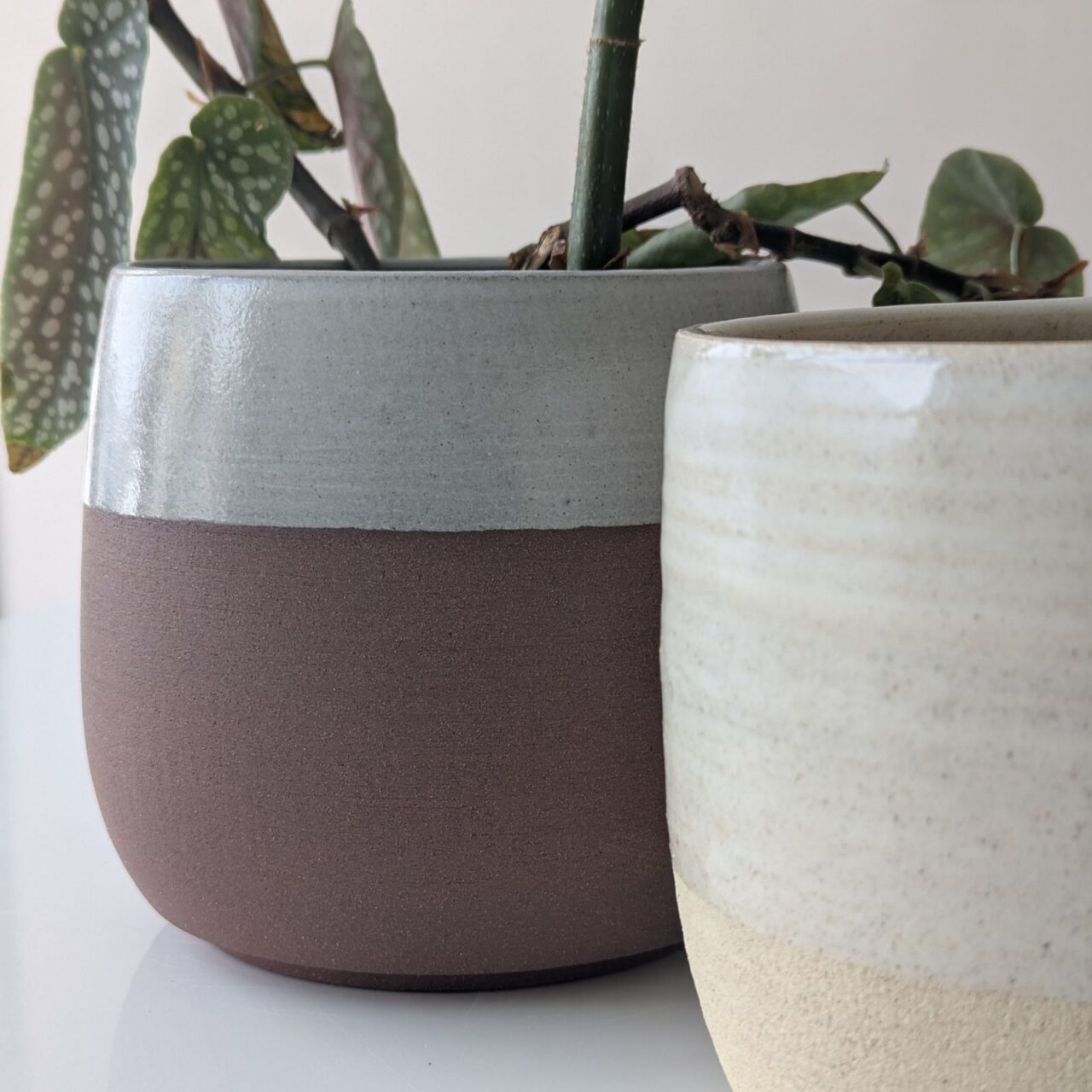 autre photo_RD - Charlotte Ridouard